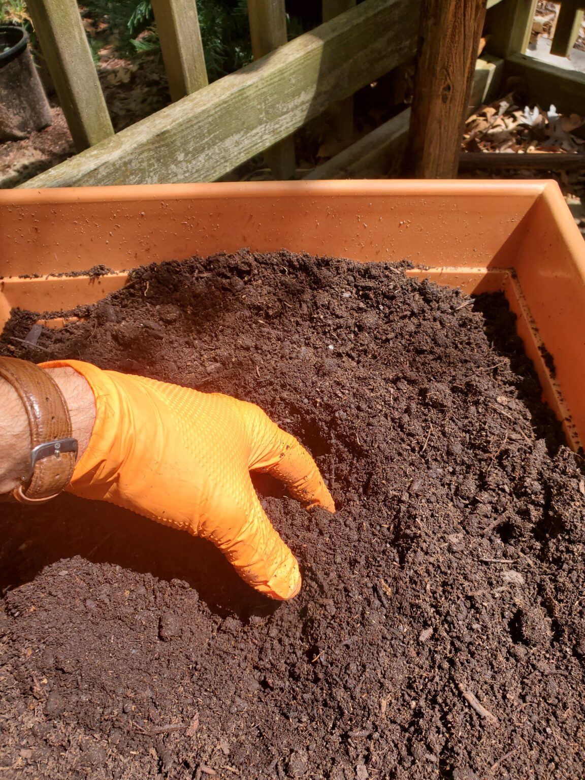 How to Lower Soil pH for Acidloving Plants The Renaissance Garden Guy