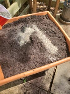 How to Lower Soil pH for Acid-loving Plants