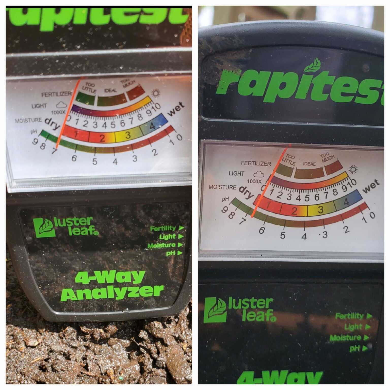 How to Lower Soil pH for Acidloving Plants The Renaissance Garden Guy