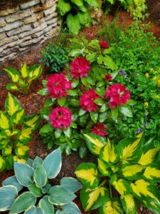 Readers, Show Me Your Gardens!!!