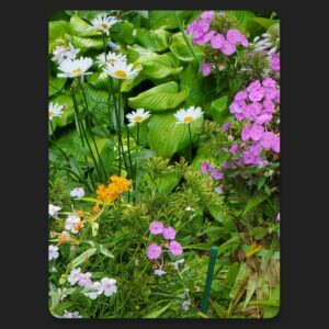 Late Summer and Fall