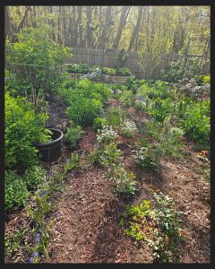 A May 2025 RGG Garden Tour