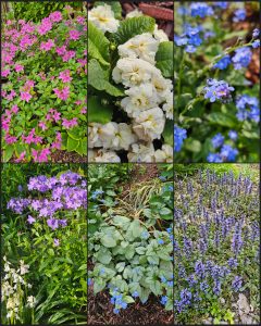 A May 2025 RGG Garden Tour