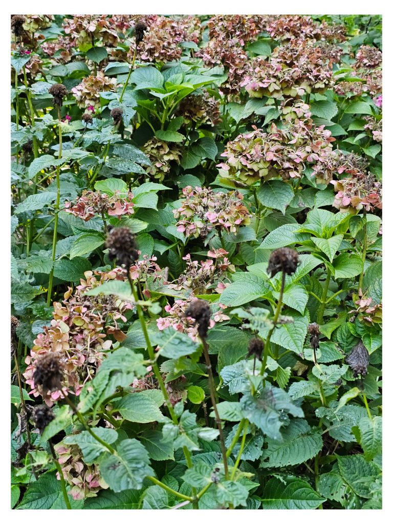 My Garden Is Fork-ready!