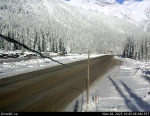 The Things We Do for Love