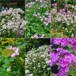 Power Flowerers in Hardiness Zone 4A