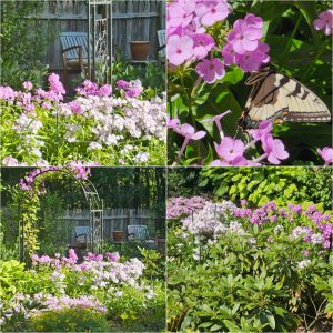 Power Flowerers in Hardiness Zone 4A