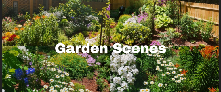 The Renaissance Garden Guy Photo Gallery