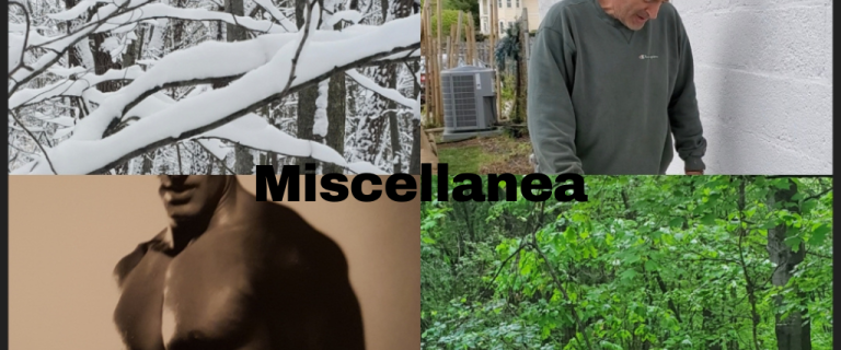 The Renaissance Garden Guy Photo Gallery