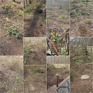 Horticultural Hygiene